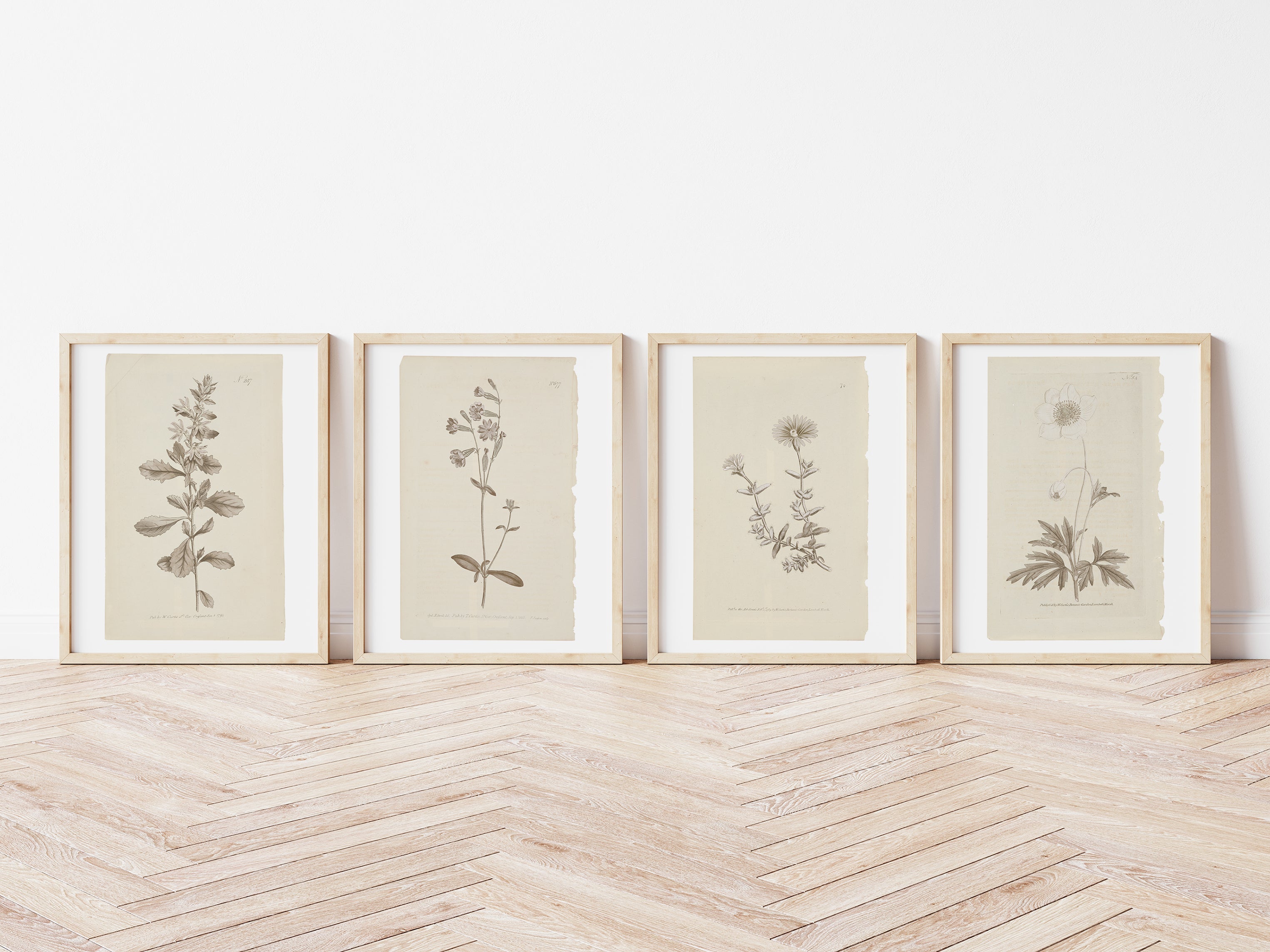 Vintage Wall Art Botanical Prints - Set of 4 Unframed