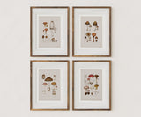 Antique Mushroom Wall Art Prints Set of 4