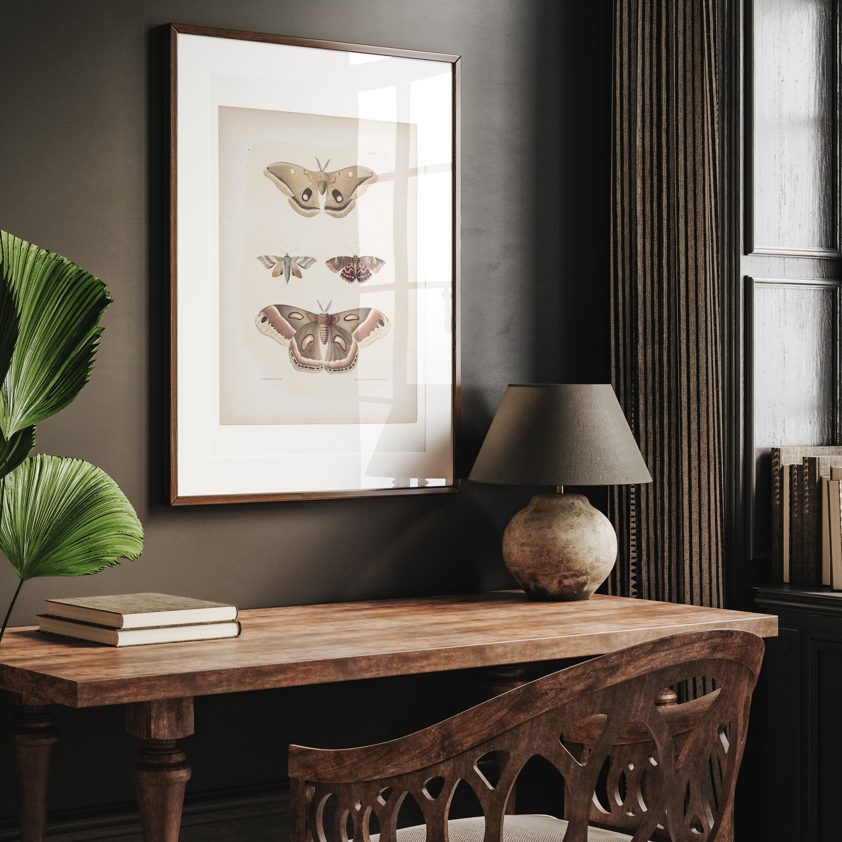 Antique Moth Illustration